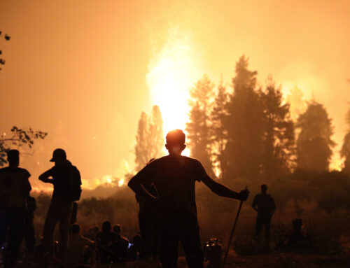 Οι «Πράσινες» Πυρκαγιές, του Σάκη Αδάμ (μέλους του ΜΕΚΕΑ) – Με σχόλιο του Τάκη Φωτόπουλου
